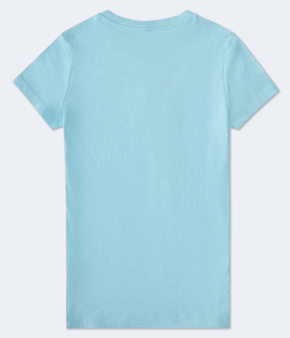 Aéropostale Aero 1987 Box Logo Appliqué Graphic Tee Light Blue