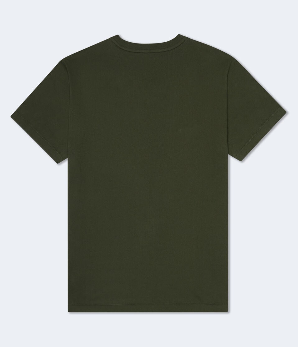 Aéropostale Aero 87 Appliqué Graphic Tee Mossy Green