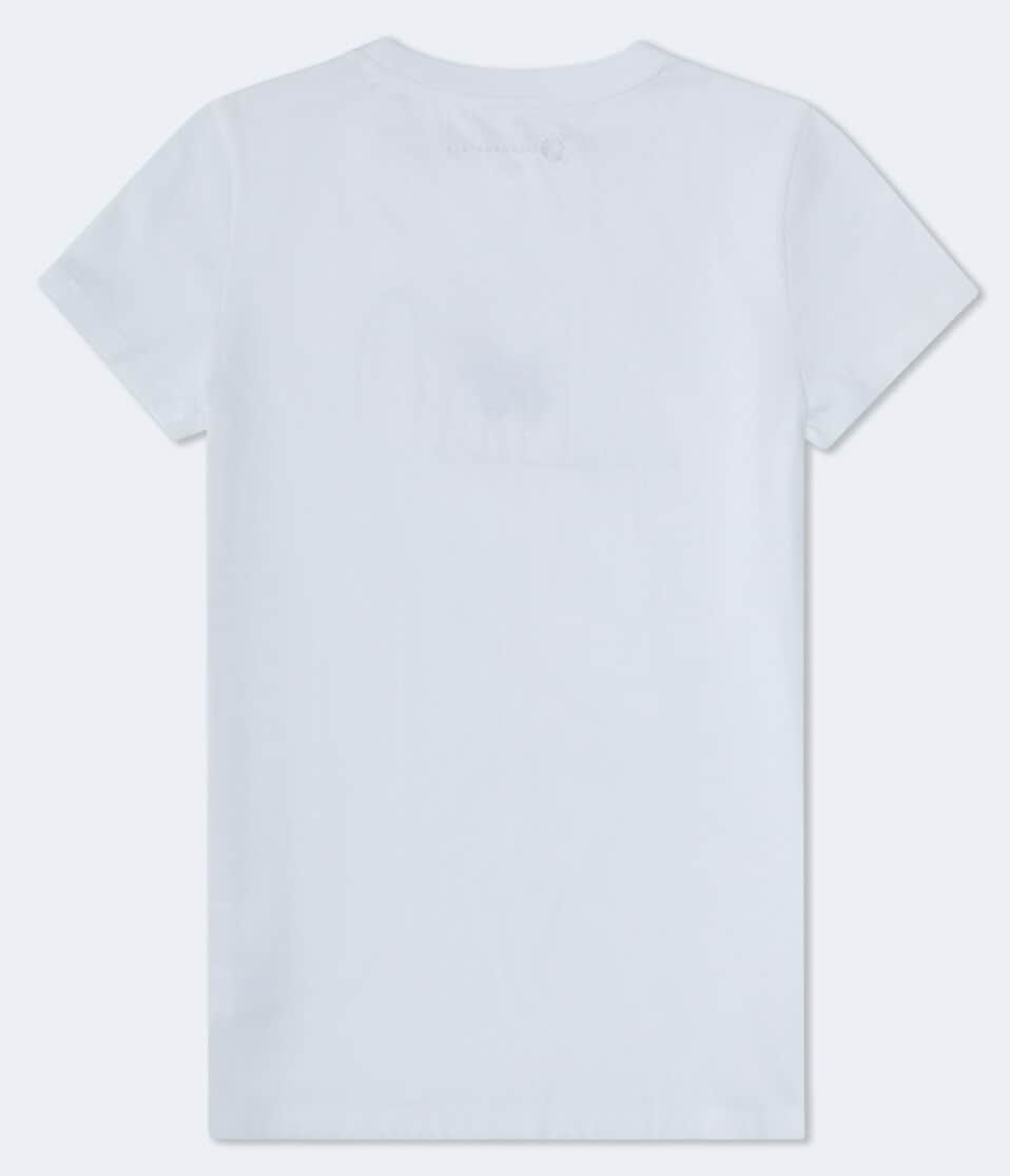 Aéropostale Aero California Butterfly Graphic Tee Bleach