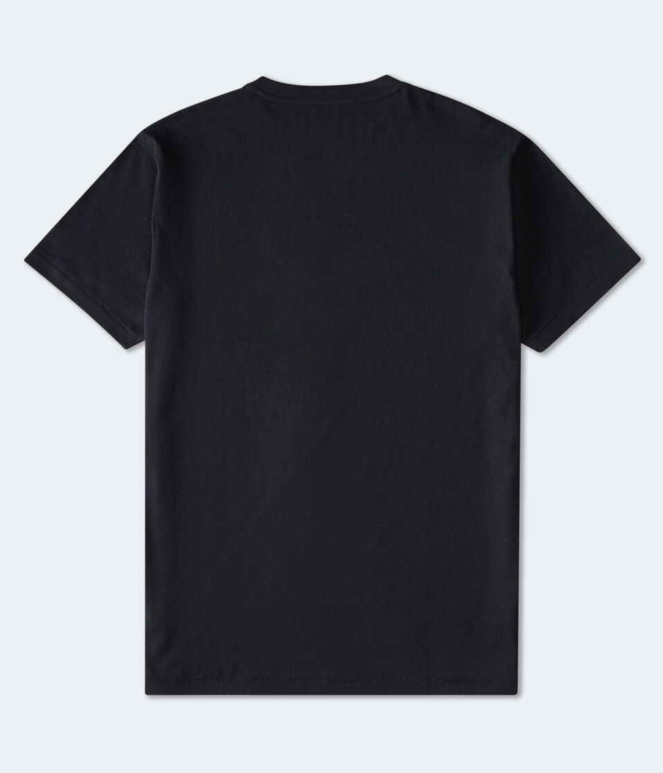 Aéropostale Aero Original Brand Box Logo Graphic Tee Black Fox