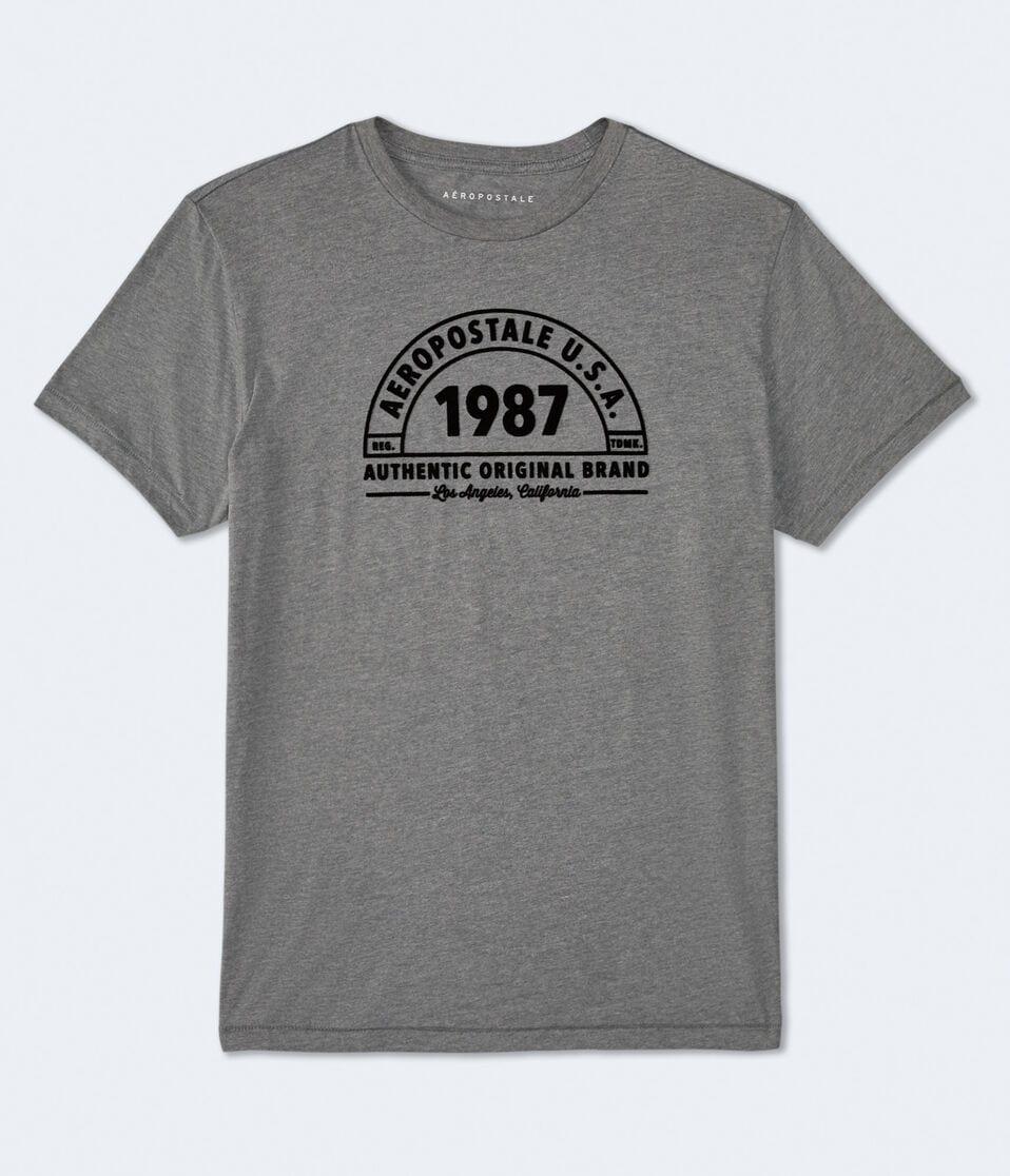 aéropostale Aeropostale 1987 Arch Flocked Graphic Tee med hthr grey