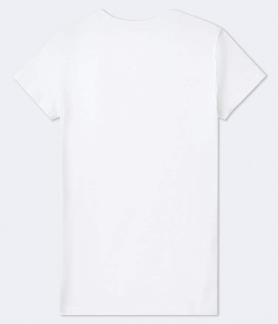 Aéropostale Aero 1987 Floral Graphic Tee Bleach