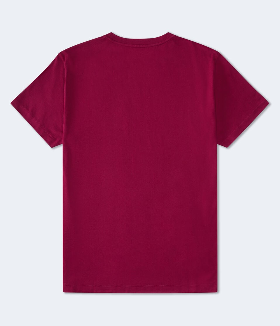 Aéropostale Aero-USA New York Graphic Tee Plum