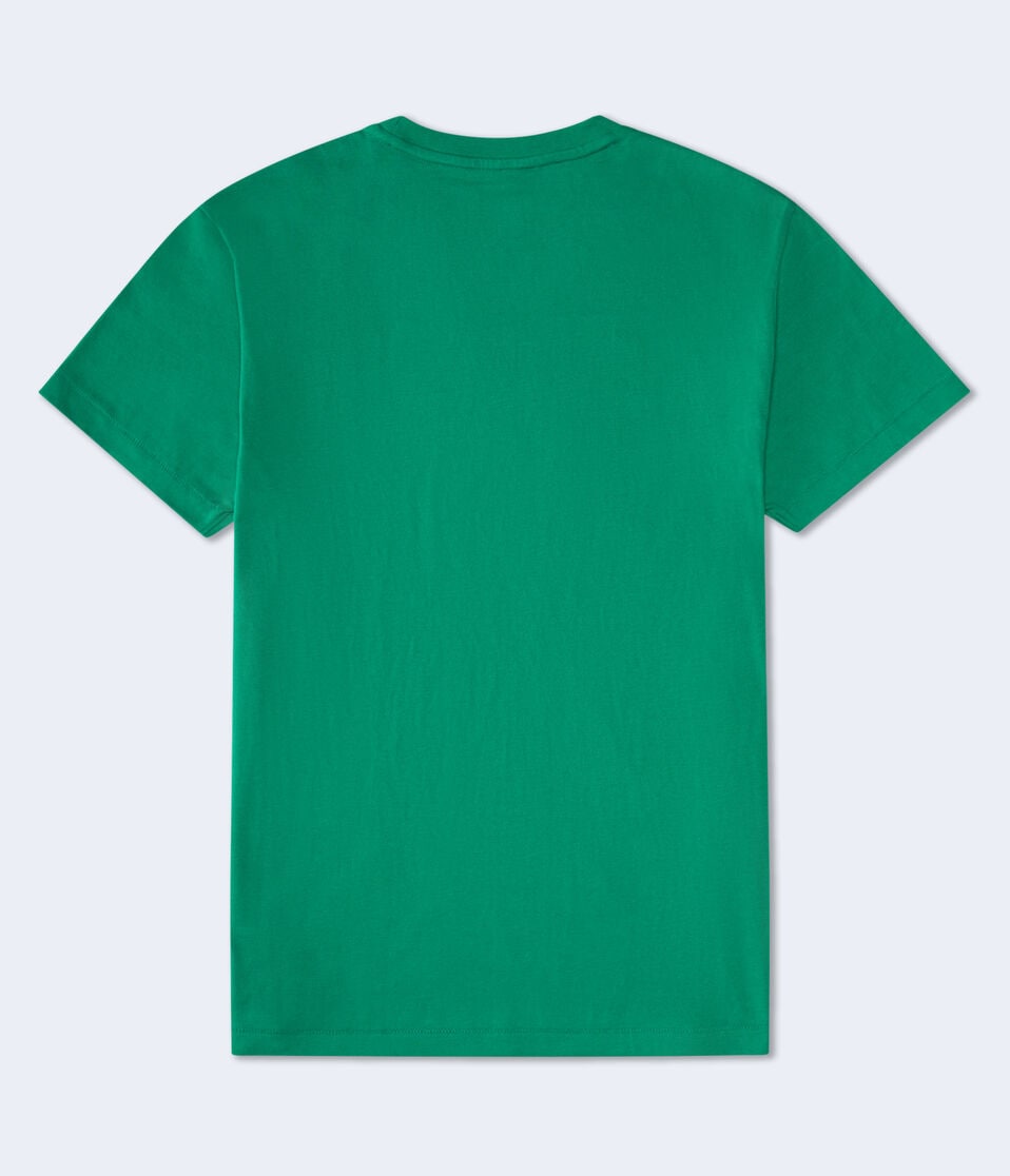 Aéropostale Aeropostale Athletic Division Appliqué Graphic Tee Terrain