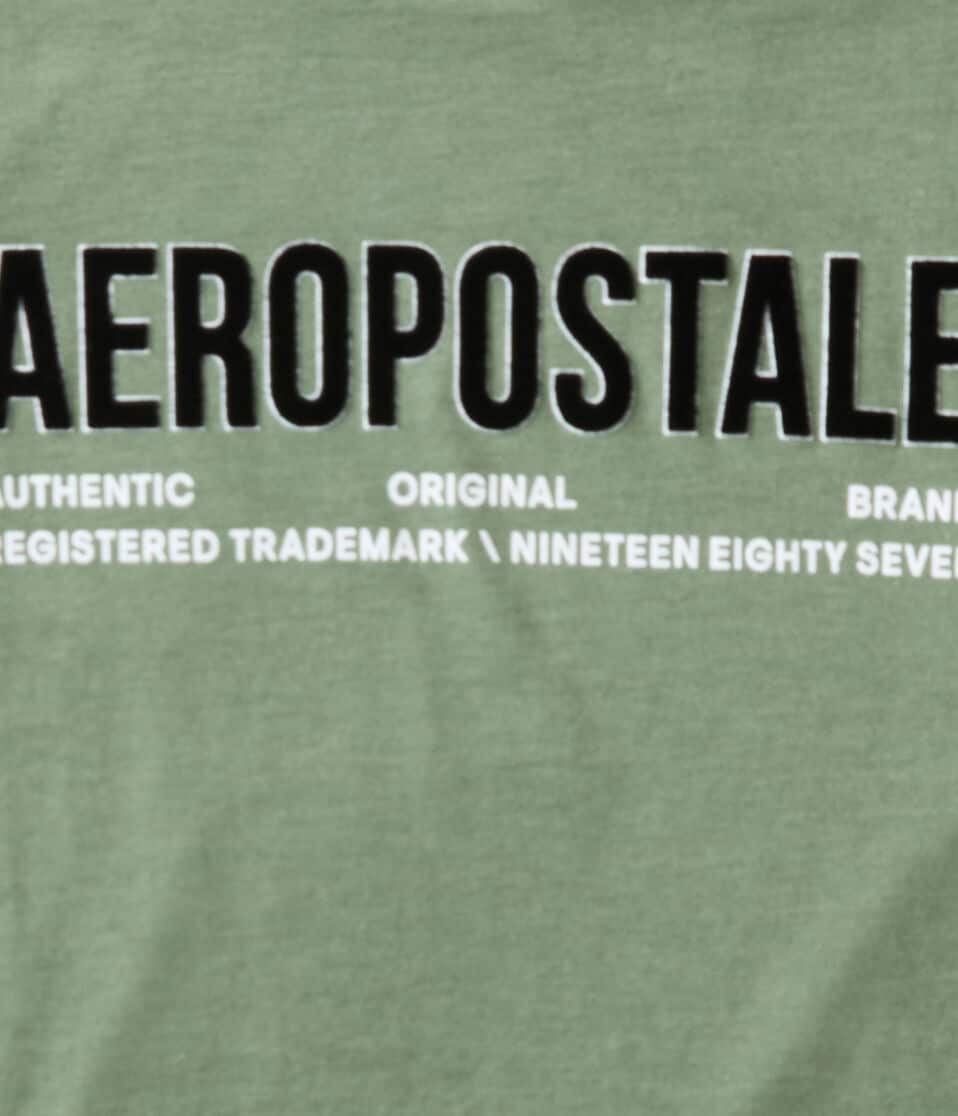 Aéropostale Aeropostale Authentic Logo Flocked Graphic Tee Eucalyptus
