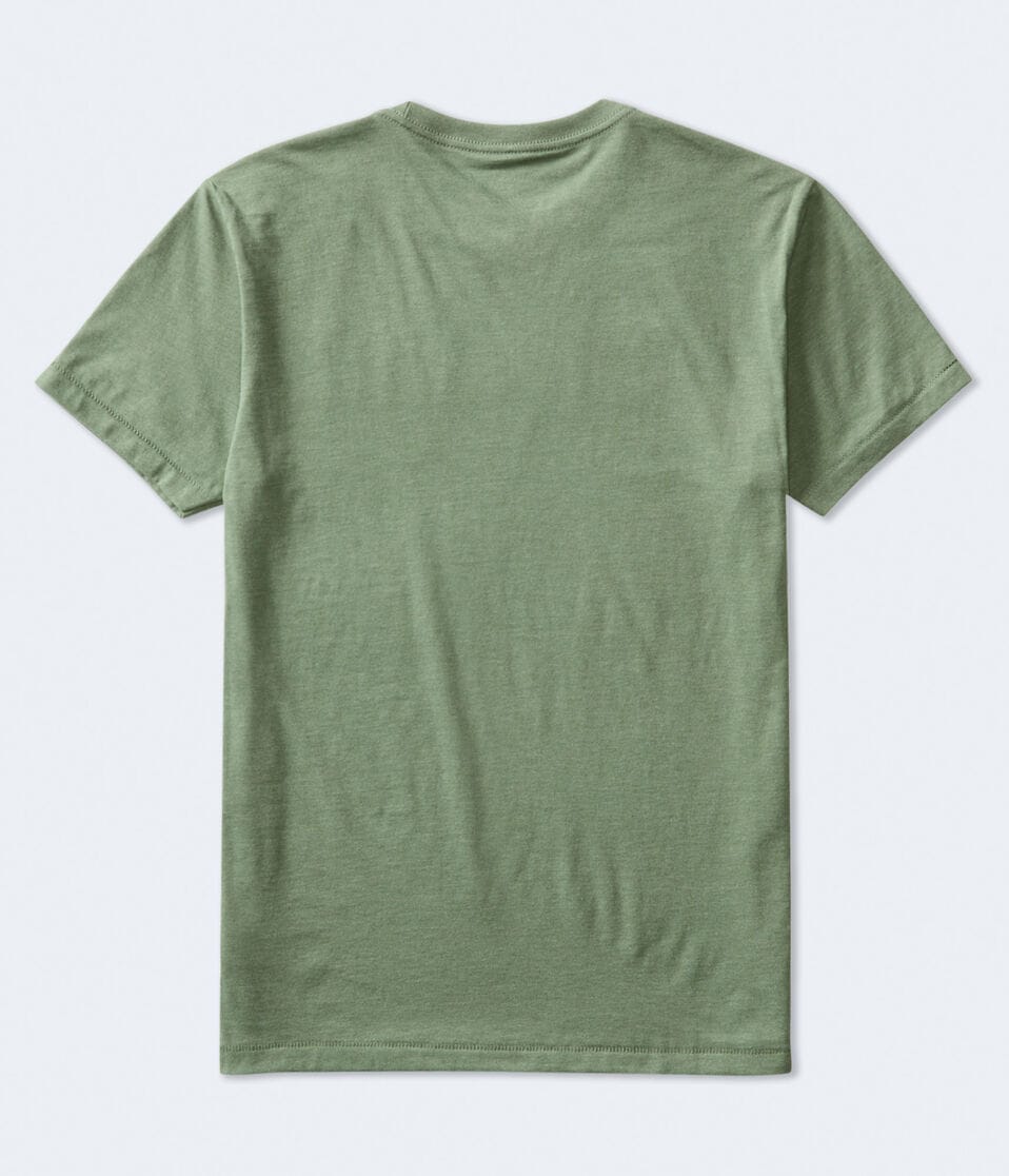 Aéropostale Aeropostale Authentic Logo Flocked Graphic Tee Eucalyptus
