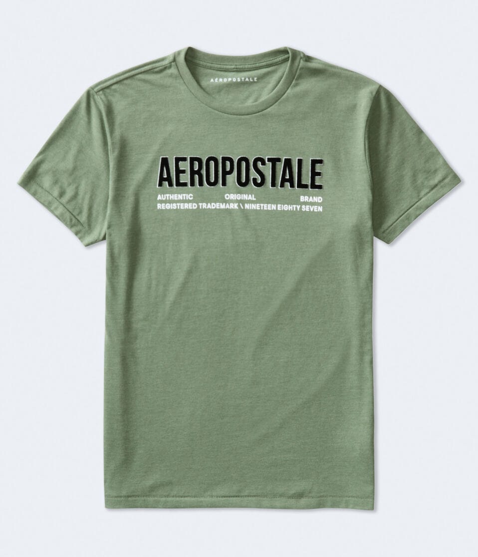 aéropostale Aeropostale Authentic Logo Flocked Graphic Tee eucalyptus