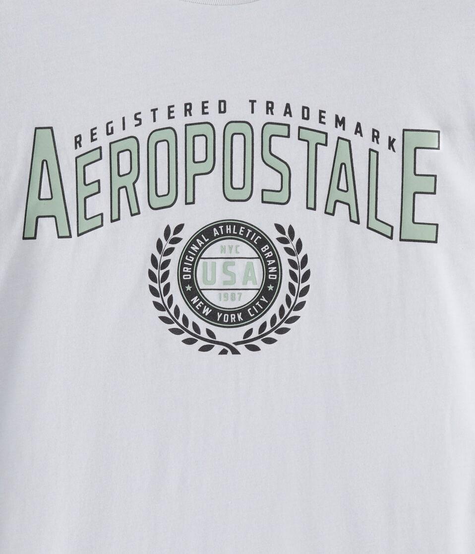 Aéropostale Aeropostale Laurels Logo Graphic Tee Grey Vine