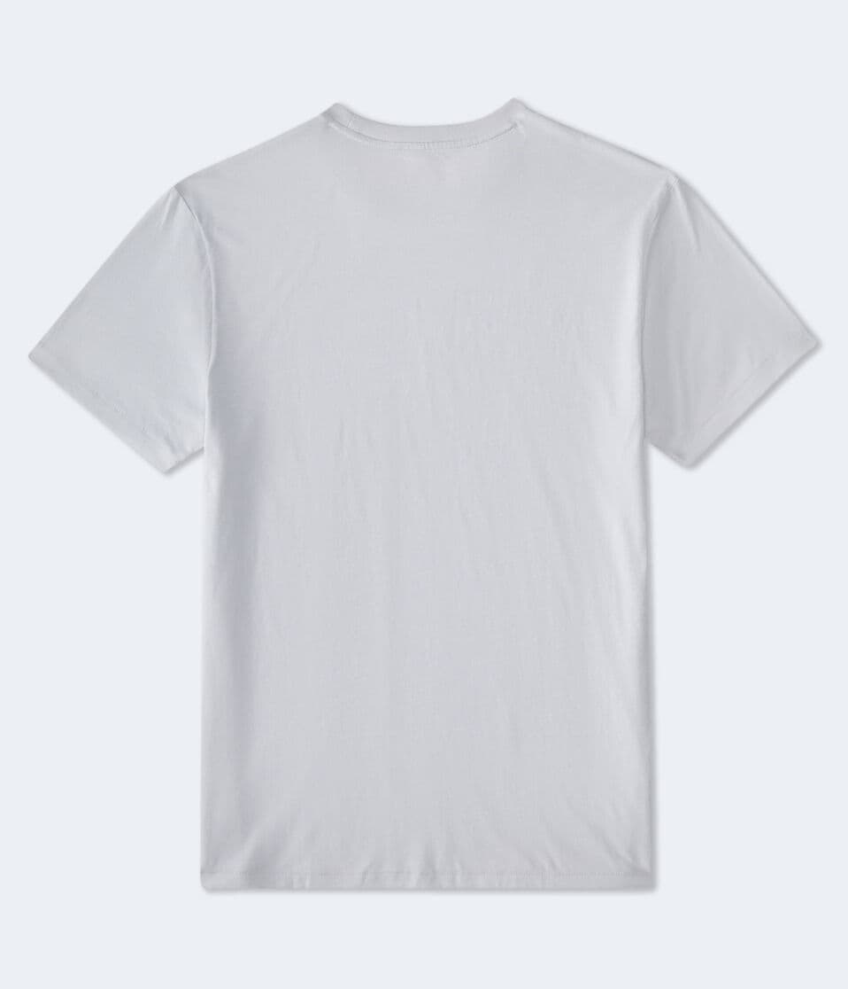 Aéropostale Aeropostale Laurels Logo Graphic Tee Grey Vine