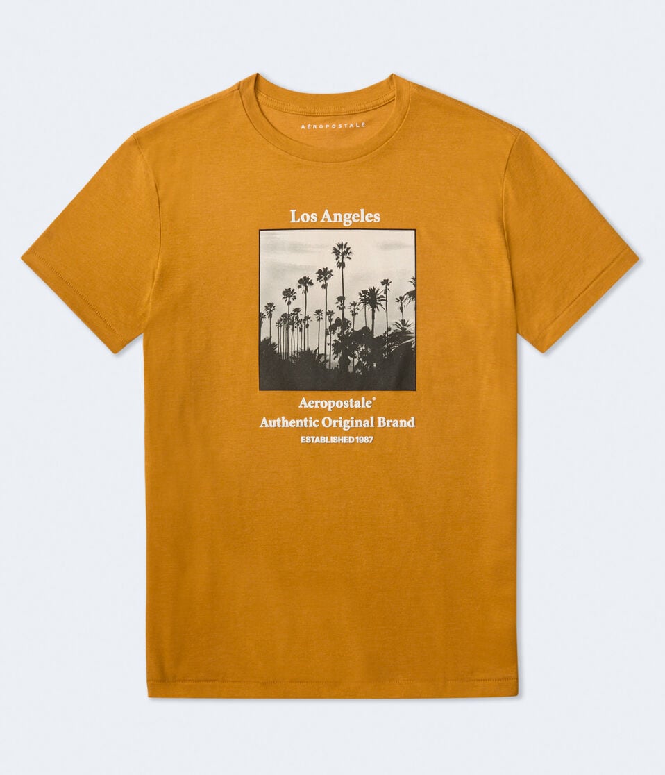 aéropostale Aeropostale Los Angeles Palms Graphic Tee zia sun