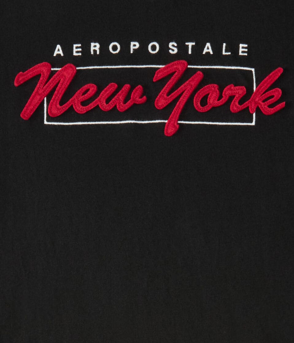 Aéropostale Aeropostale New York Box Logo Appliqué Graphic Tee Black Fox