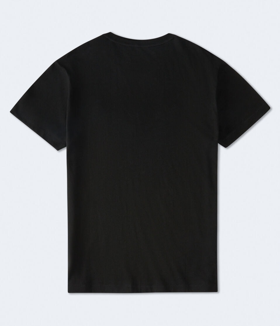 Aéropostale Aeropostale New York Box Logo Appliqué Graphic Tee Black Fox