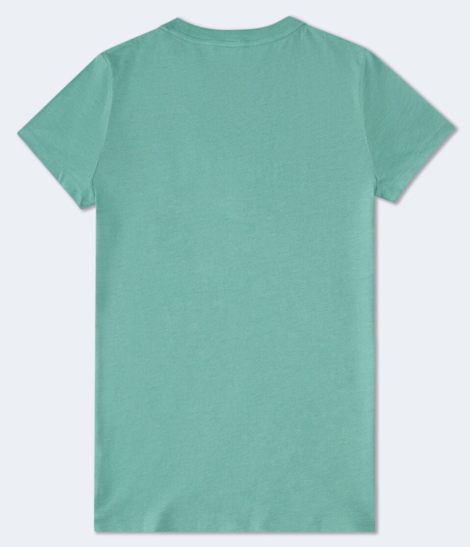 Aéropostale Aeropostale Original Brand Graphic Tee Lush Green