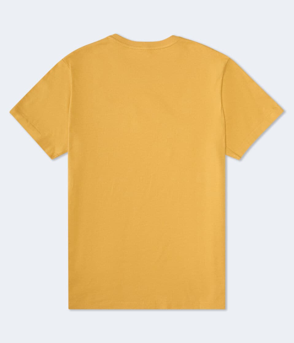 Aéropostale Aeropostale Original Script Appliqué Graphic Tee Mecca Gold