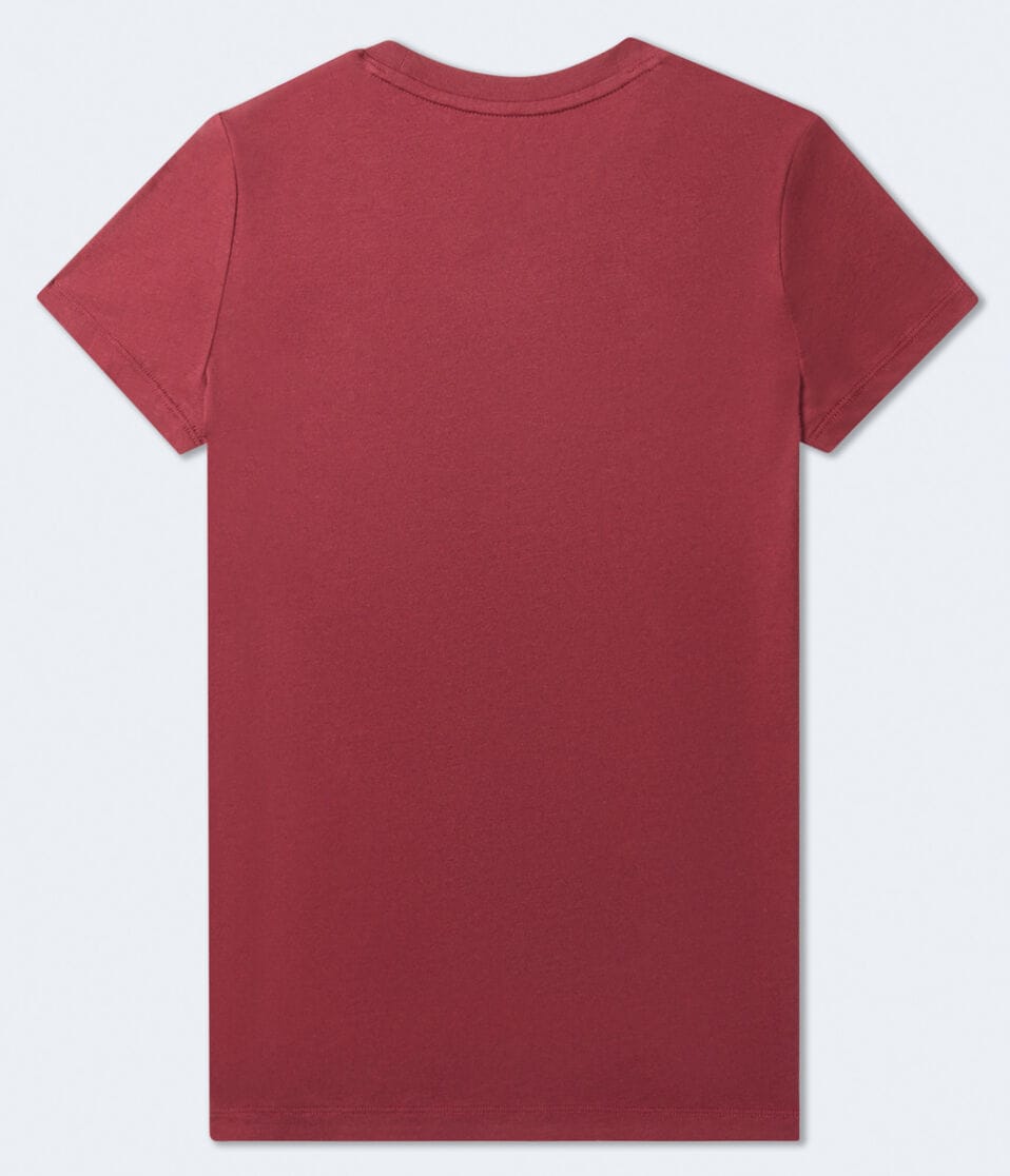 Aéropostale Aeropostale Palm Tree Graphic Tee Roselle Red