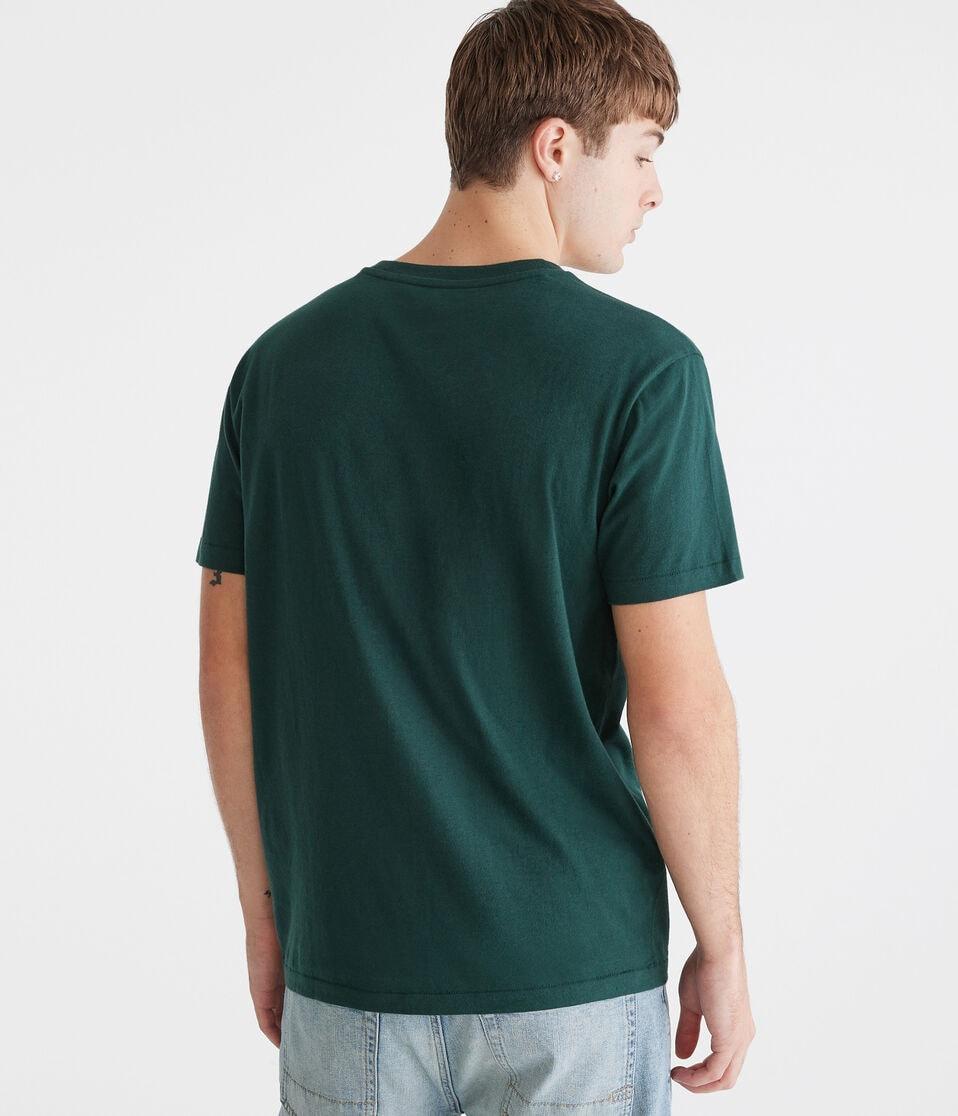 Aéropostale Aeropostale Physical Education Appliqué Graphic Tee Pine Grove