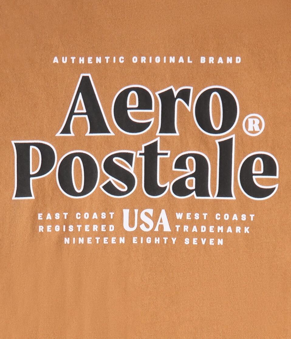 Aéropostale Aeropostale USA Logo Graphic Tee Dream Chocolate