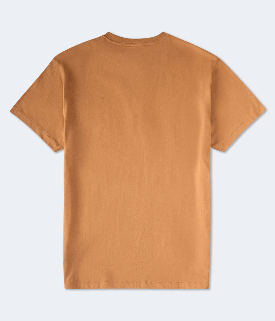 Aéropostale Aeropostale USA Logo Graphic Tee Dream Chocolate