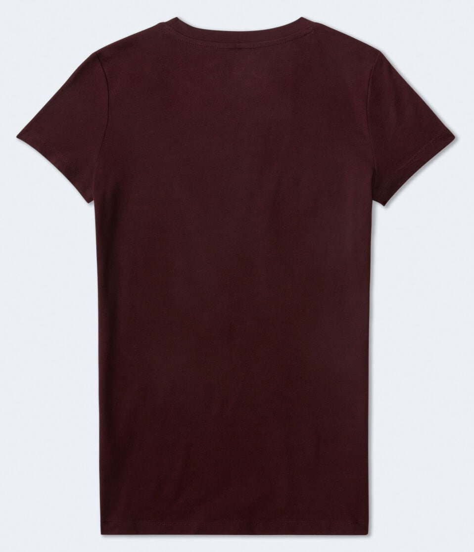 Aéropostale Aero Arch Butterfly Graphic Tee Bloomsberry