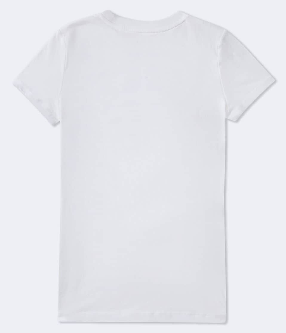 Aéropostale Aero Arch Floral Appliqué Graphic Tee Bleach