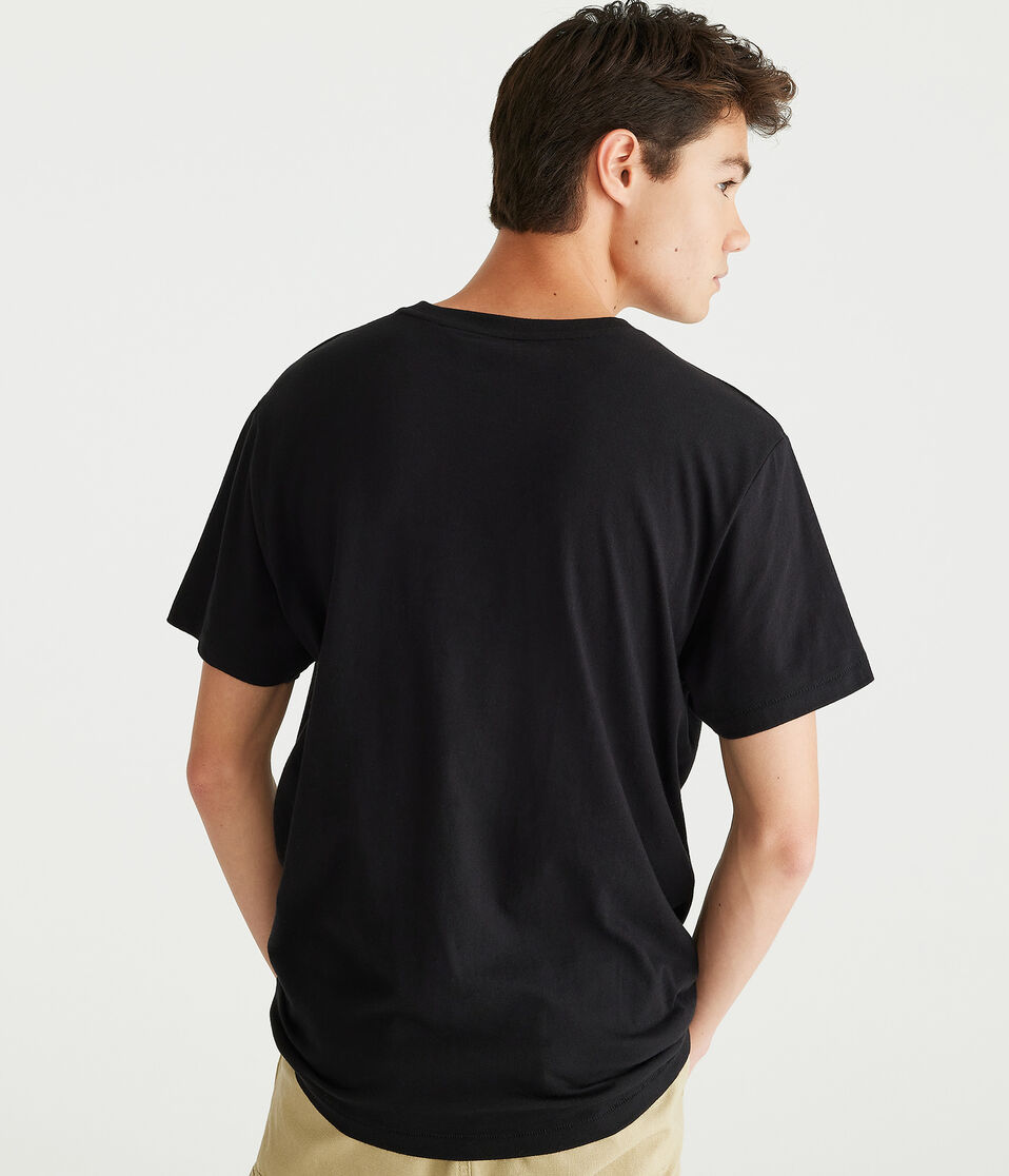 Aéropostale Aero Athletic Crest Appliqué Graphic Tee Black Fox