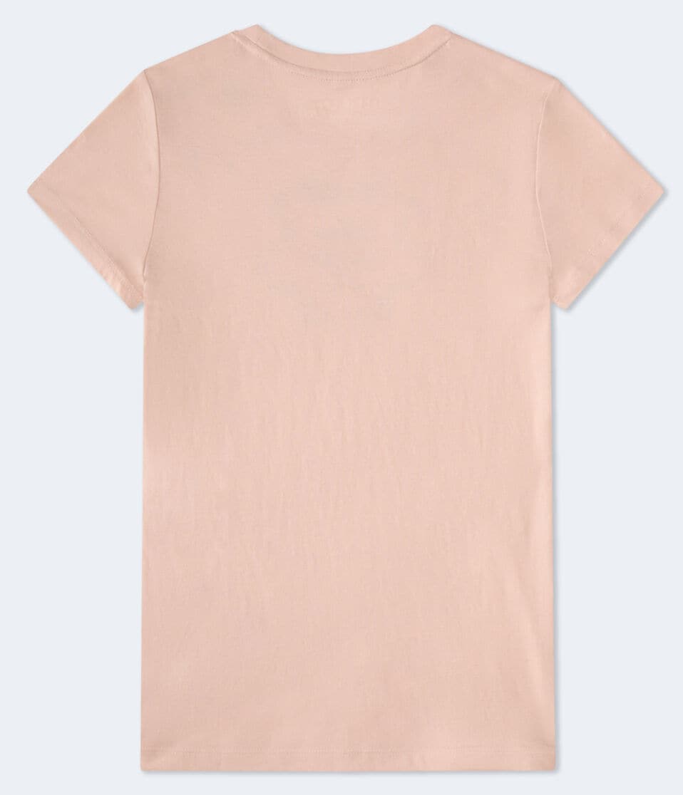 Aéropostale Aero New York Ribbon Flocked Graphic Tee Pink Light