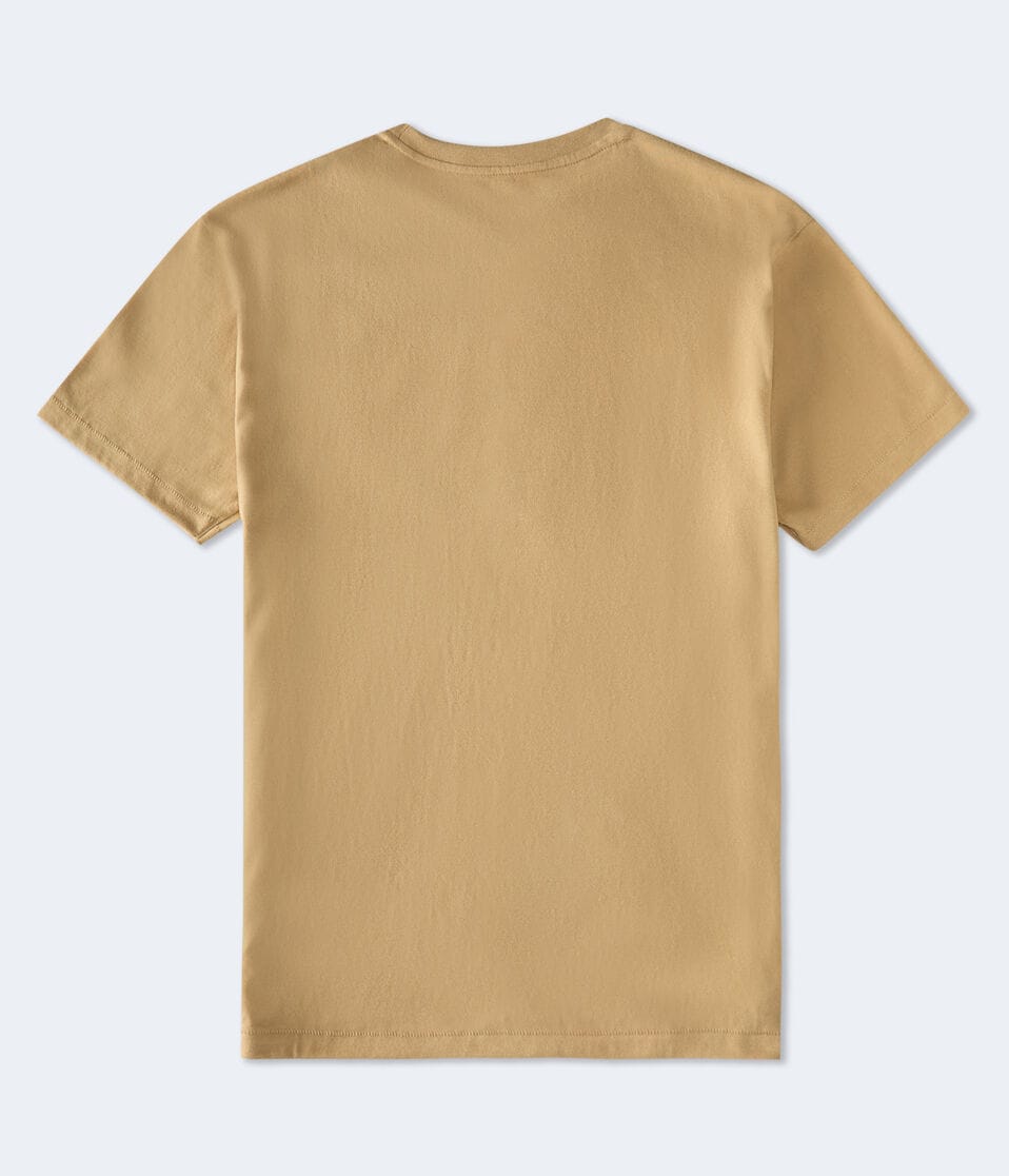 Aéropostale Aero NY 1987 Foil Graphic Tee Canvas Tote