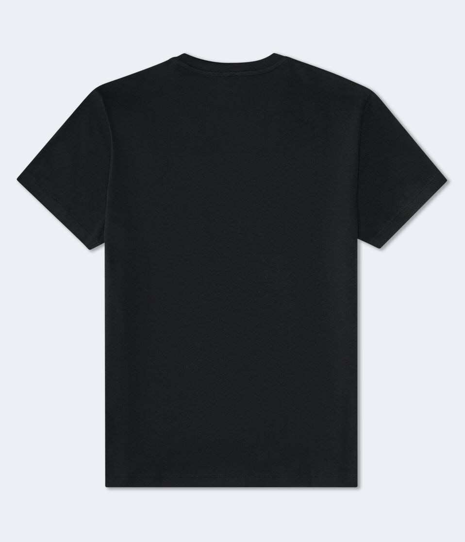 Aéropostale Aero NY Circle Appliqué Graphic Tee Black Fox