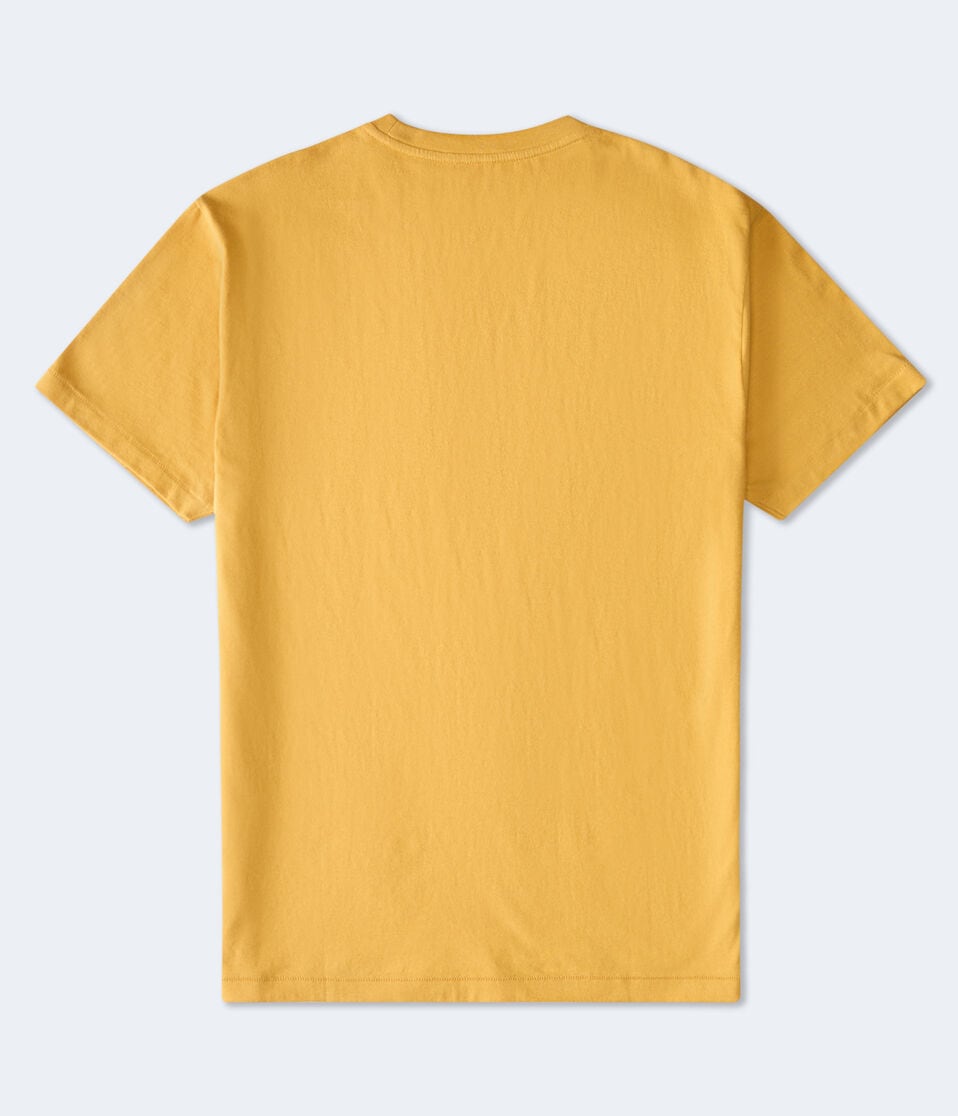Aéropostale Aero Original Brand Box Logo Graphic Tee Golden Glow