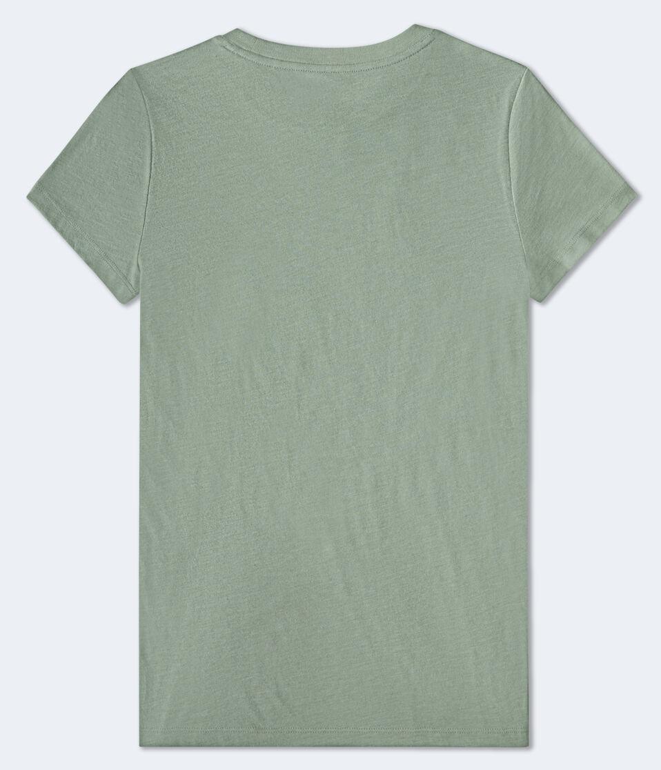 Aéropostale Aero Rhinestone Graphic Tee Dusty Rosemary