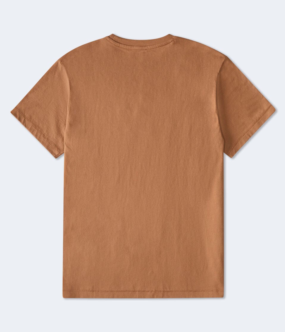 Aéropostale Aero Script Appliqué Graphic Tee Dream Chocolate