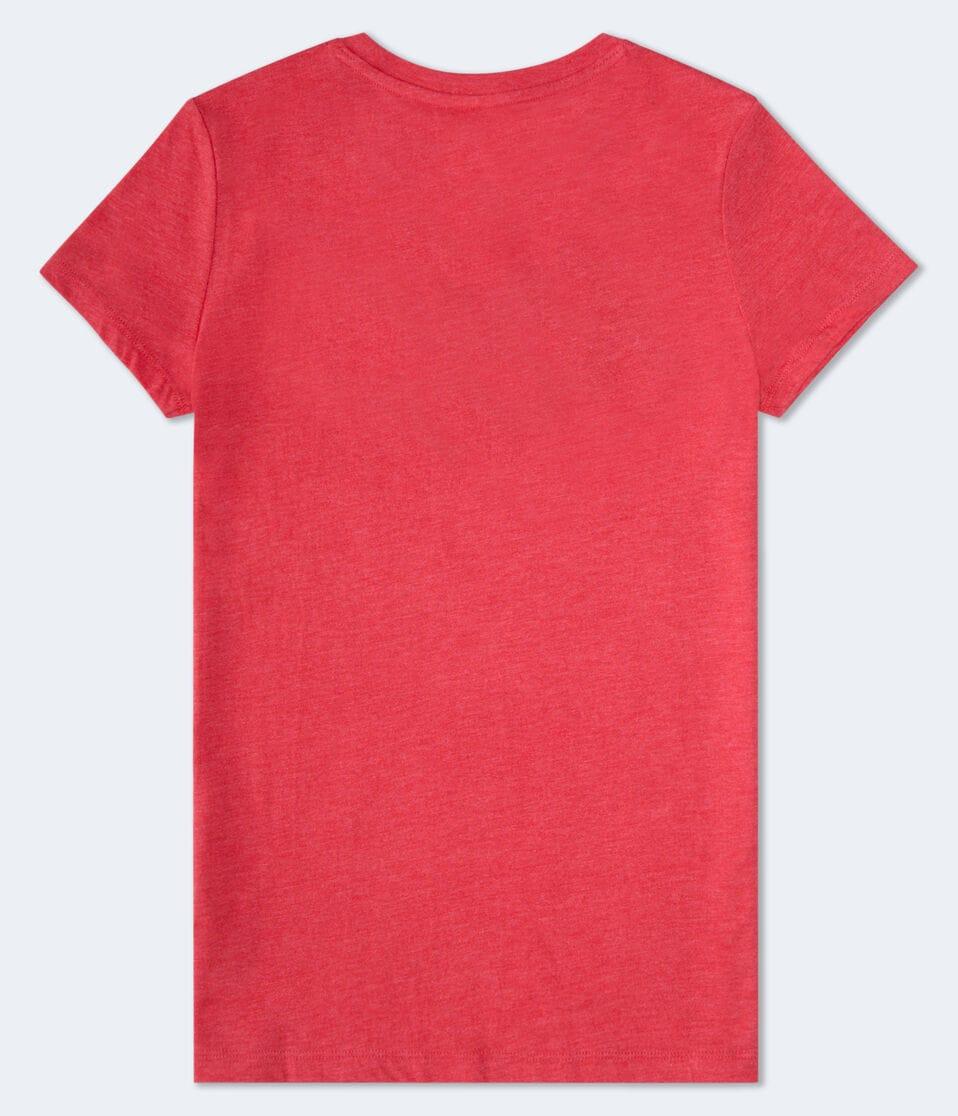 Aéropostale Aero Script Appliqué Graphic Tee Pointsettia