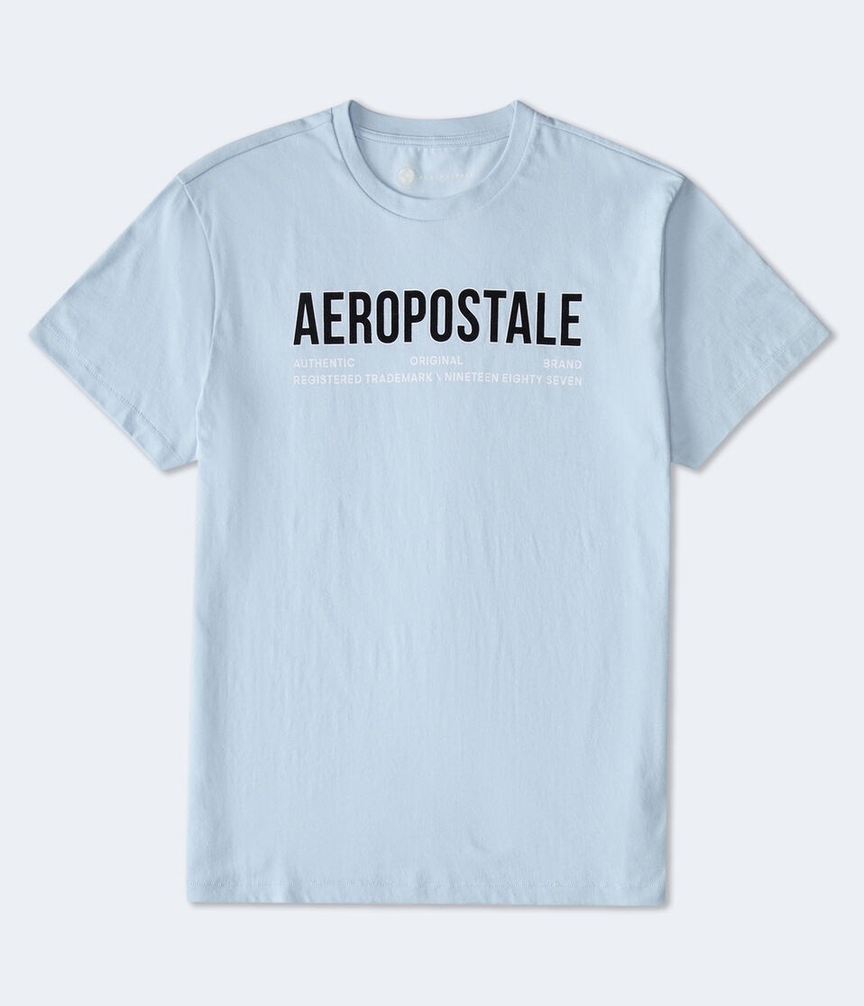 aéropostale Aeropostale Authentic Logo Flocked Graphic Tee blue haze
