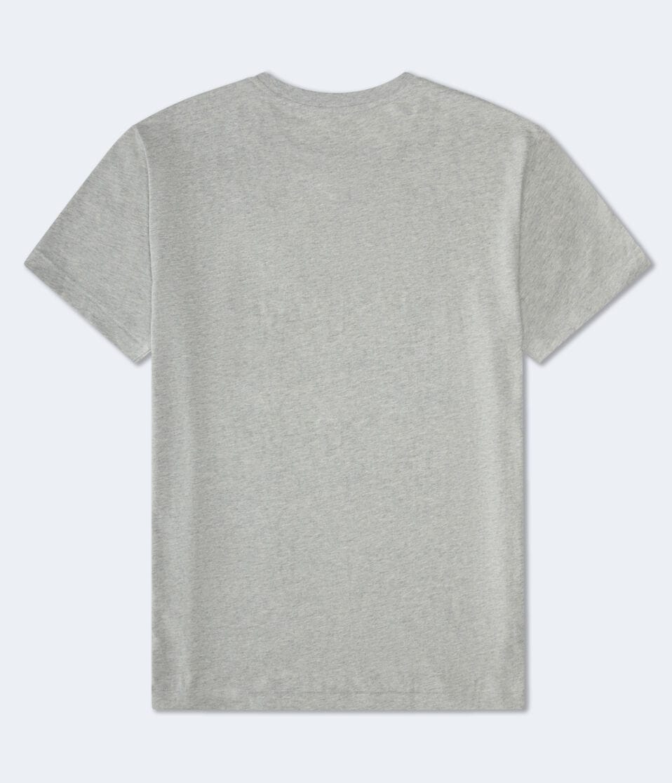 Aéropostale Aeropostale Box Logo Appliqué Graphic Tee Light Heather Grey