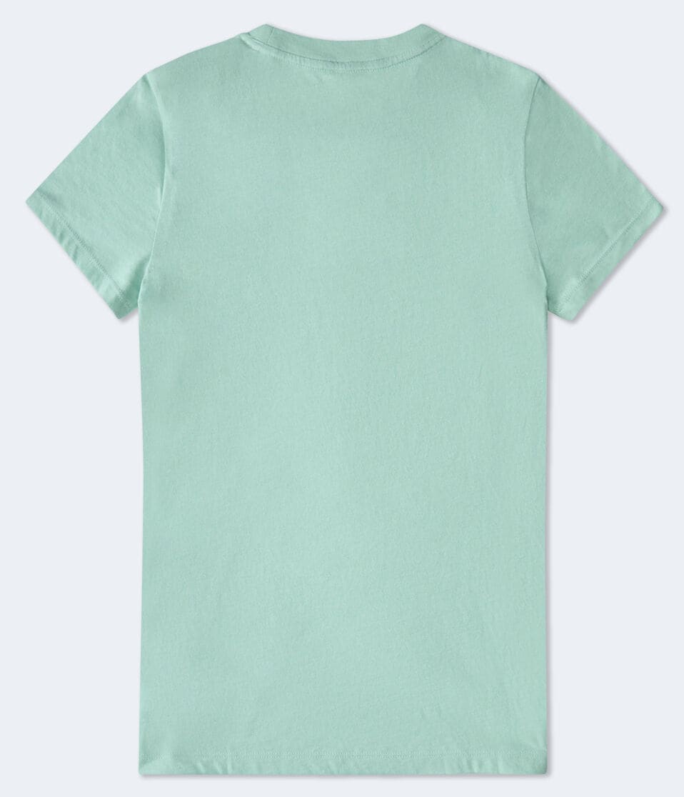 Aéropostale Aeropostale Butterfly Foil Graphic Tee Colony Blue