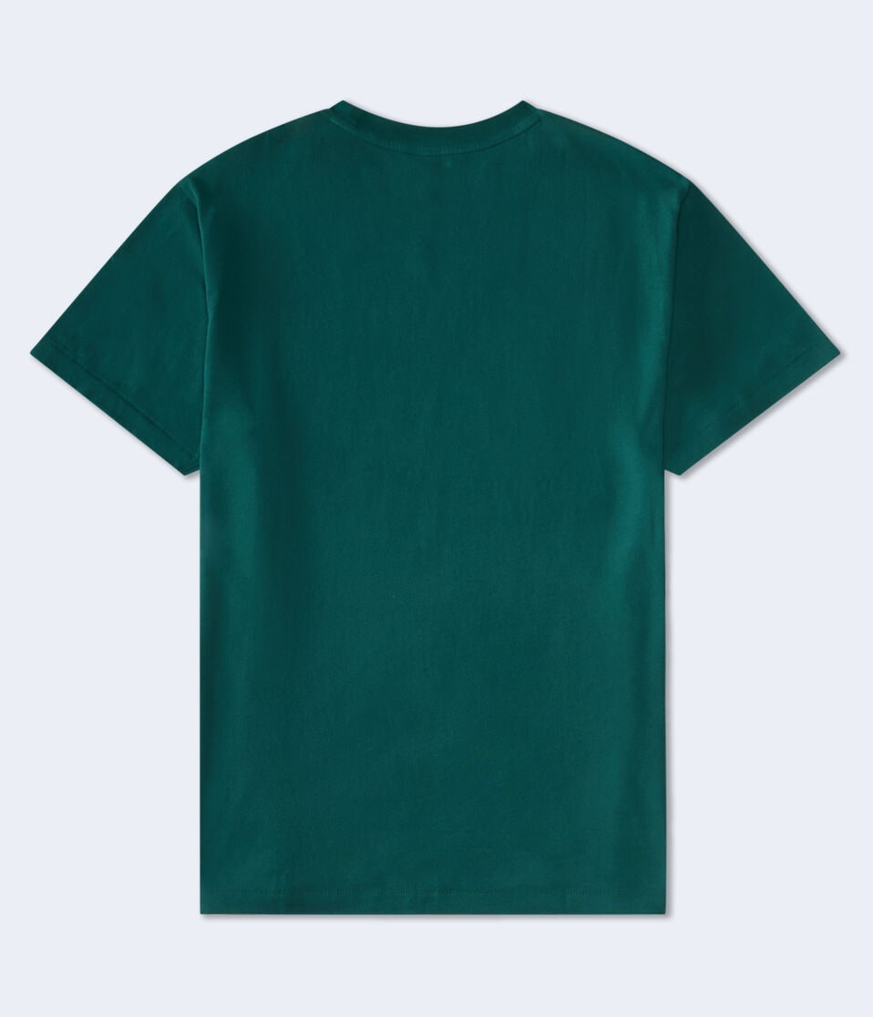 Aéropostale Aeropostale Cali Bear Appliqué Graphic Tee Aspen Aura