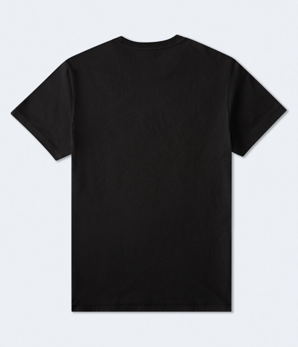 Aéropostale Aeropostale Liberty Circle Graphic Tee Black Fox