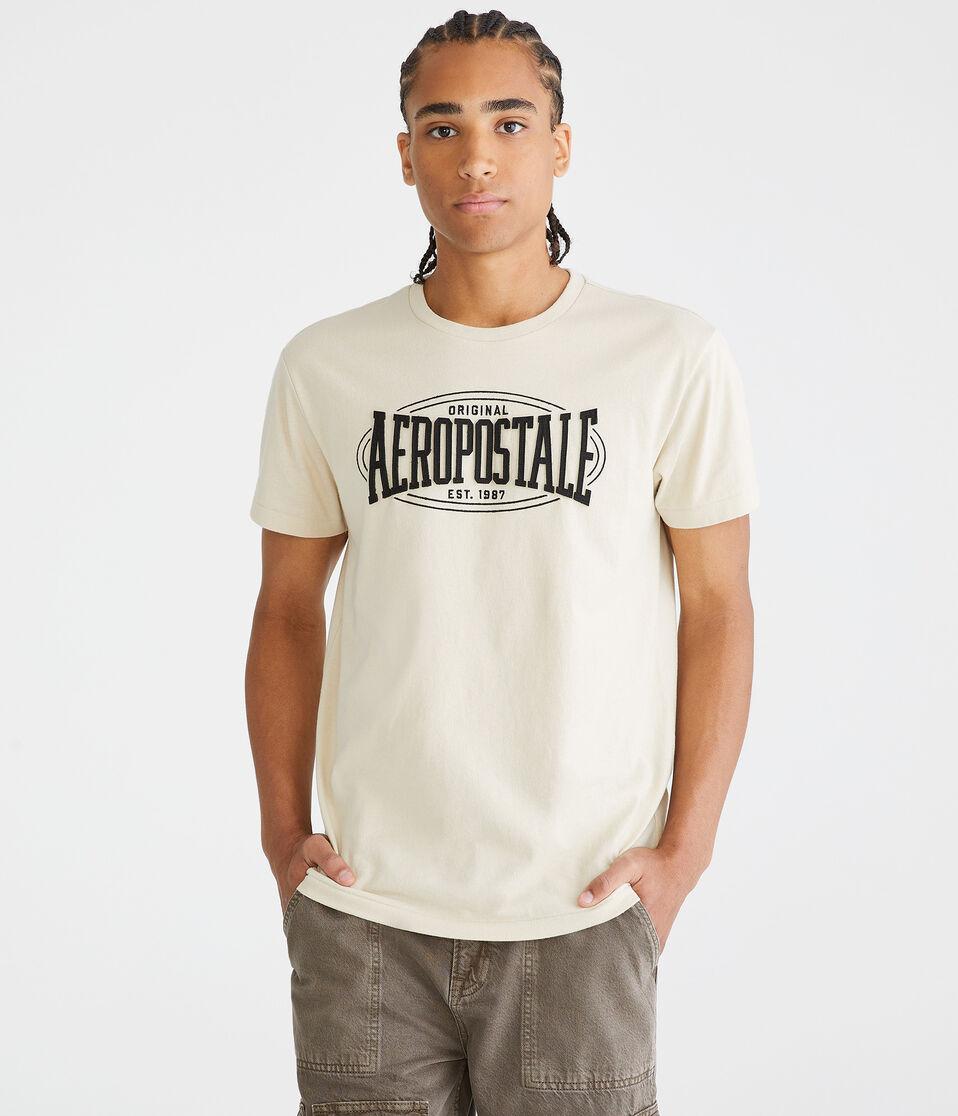 aéropostale Aeropostale Oval Appliqué Graphic Tee bungalow