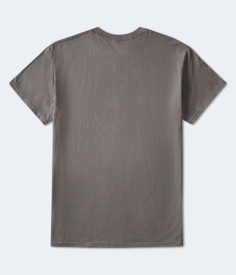 Aéropostale Chris Stapleton Relaxed Graphic Tee Grey