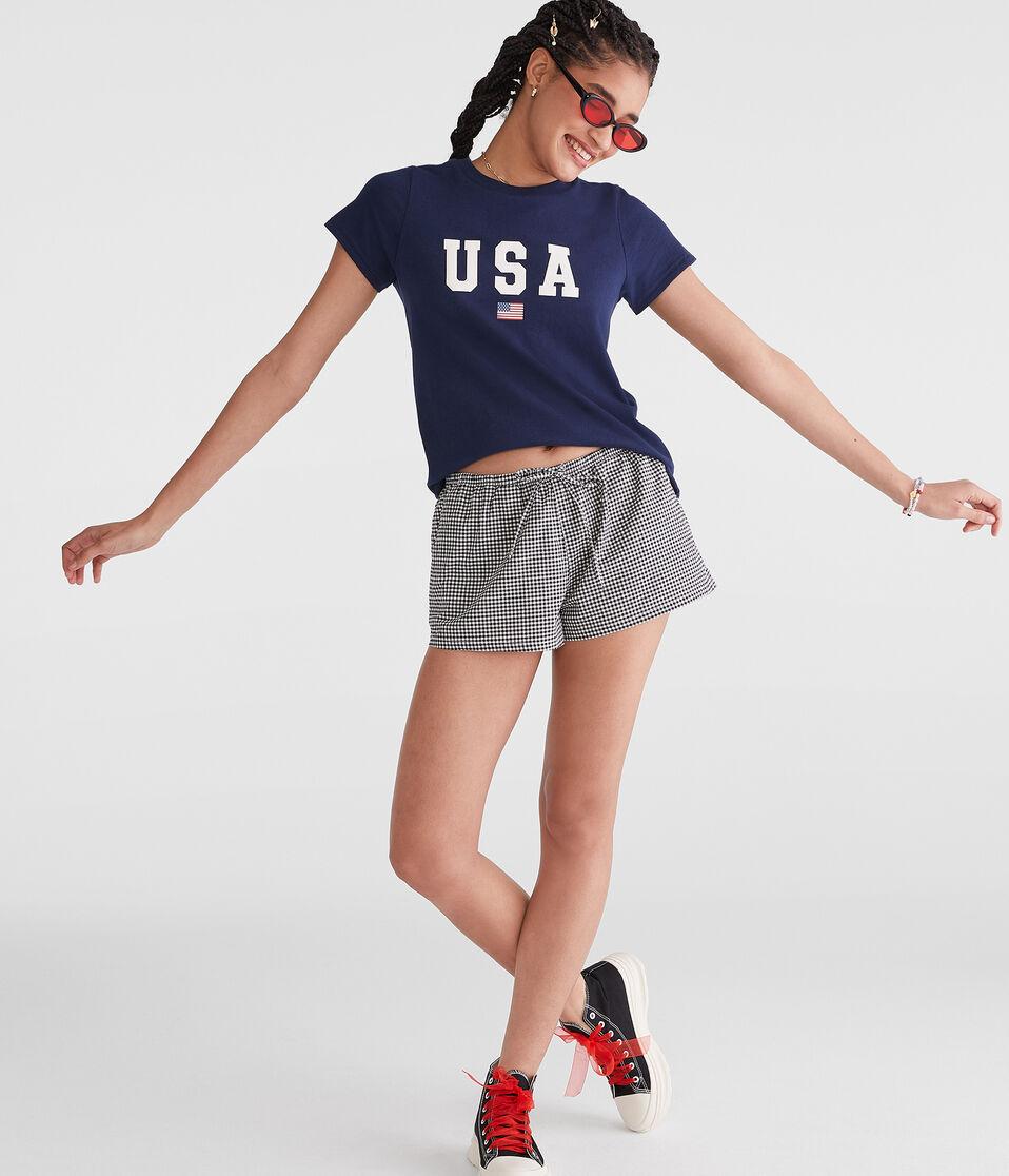 Aéropostale Seriously Soft USA Vintage Fit Graphic Tee Hazy Indigo